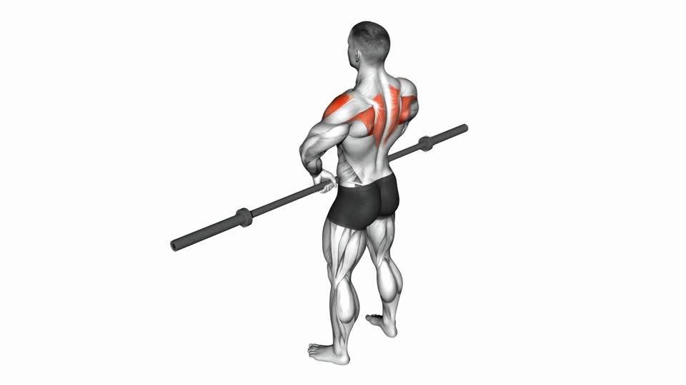 REMO AL PECHO CON BARRA