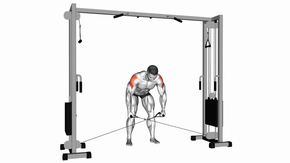 VUELOS POSTERIORES POLEA BAJA