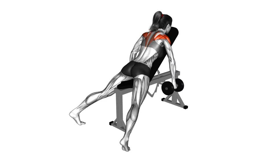 VUELOS POSTERIORES INCLINADO