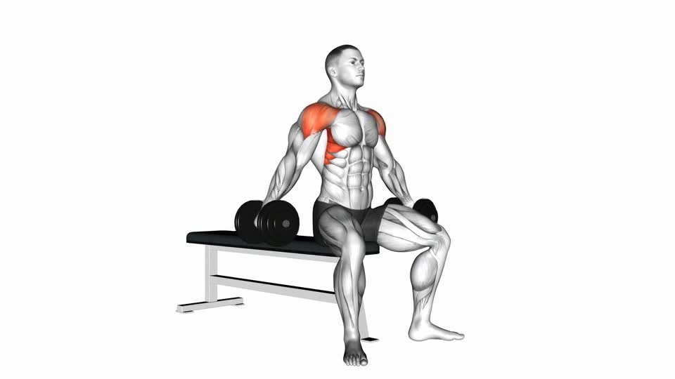 VUELOS LATERALES SENTADO