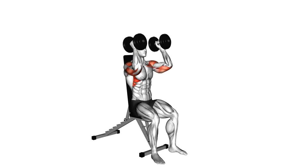 PRESS MILITAR SENTADO