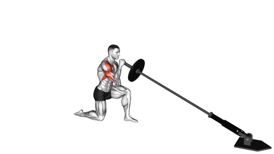 PRESS MILITAR EN LANDMINE A 1 BRAZO DE RODILLAS