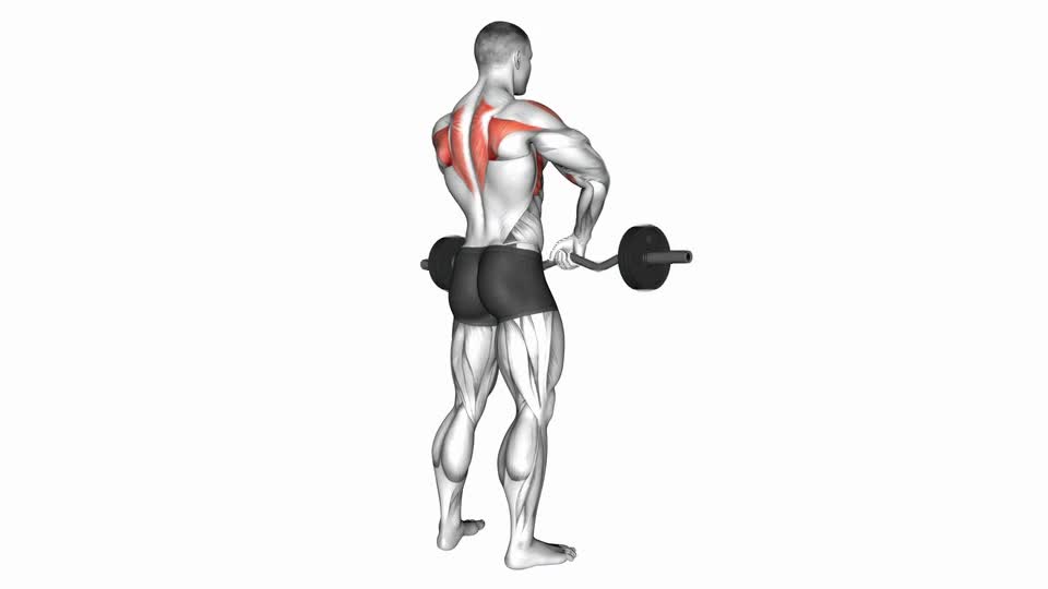 REMO AL MENTON BARRA CORTA