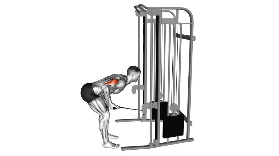 PATADA DE BURRO EN POLEA BAJA