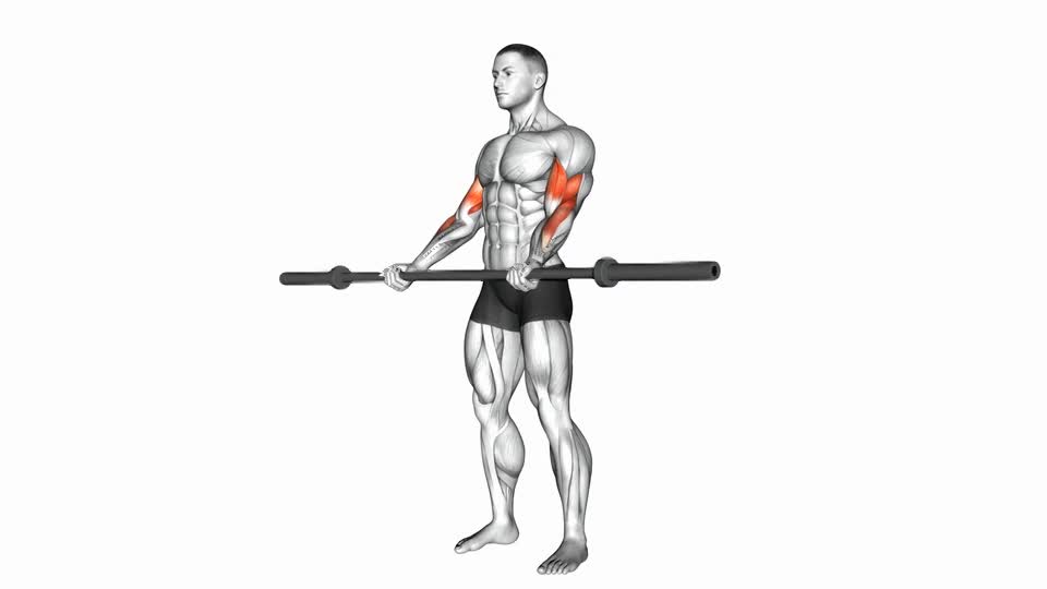 CURL BICEPS BARRA LARGA