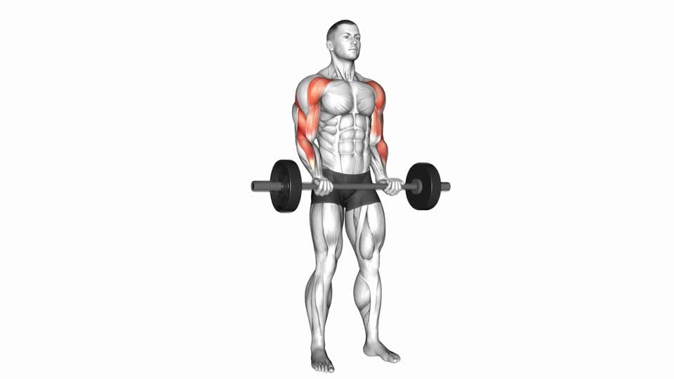 CURL BICEPS ELEVANDO CODO