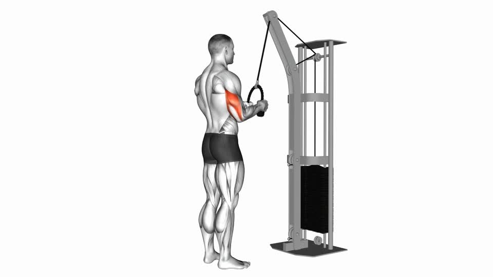 JALON TRICEPS POLEA ALTA CON SOGA