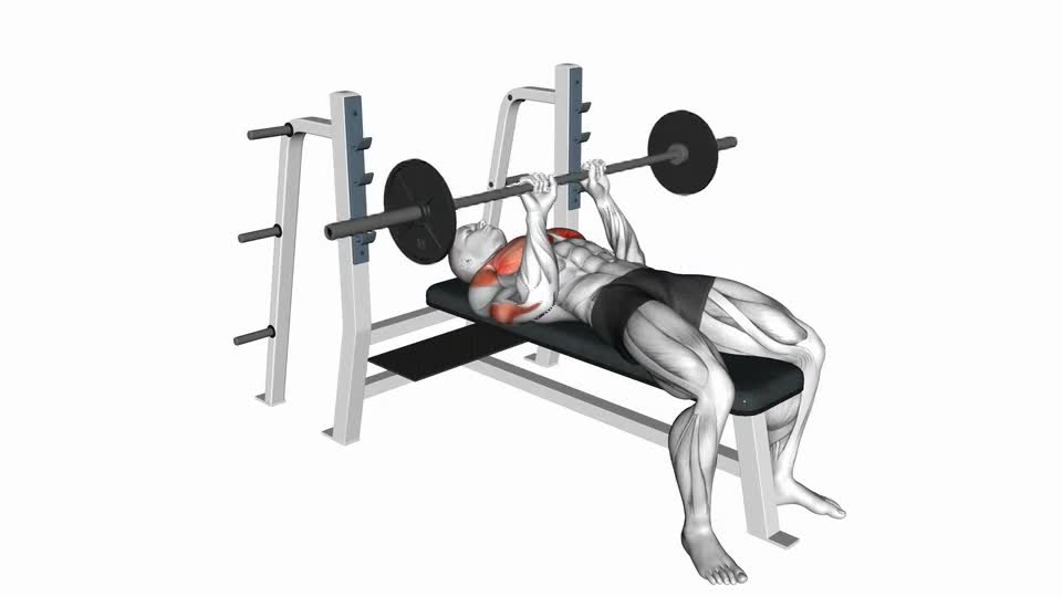 PRESS PECHO CERRADO (P.P.CERRADO)