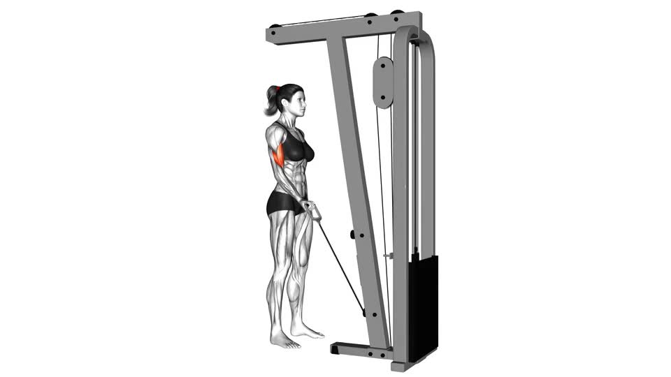 CURL BICEPS POLEA BAJA A 1 BRAZO