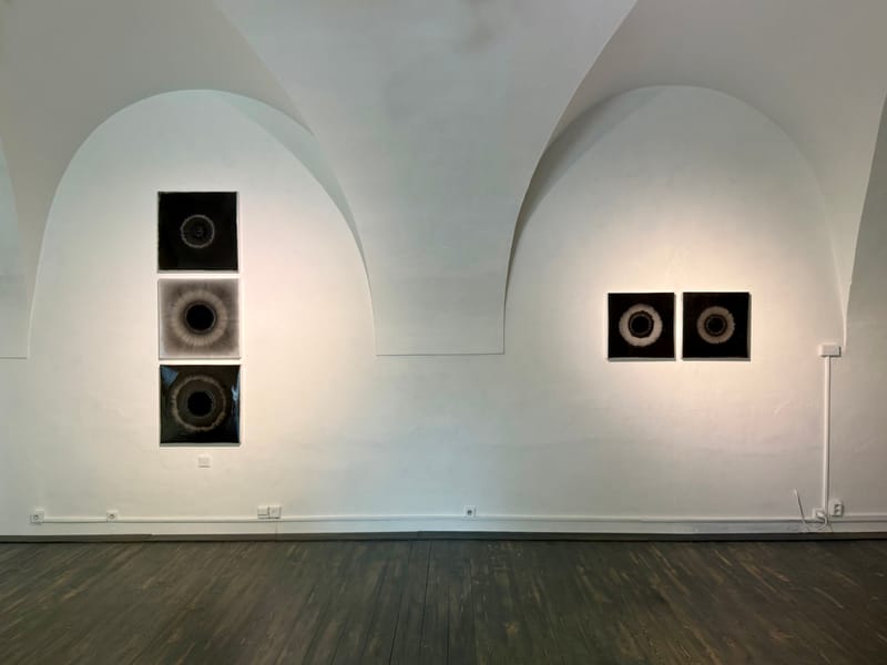 Kurátorka / Marika Kupková