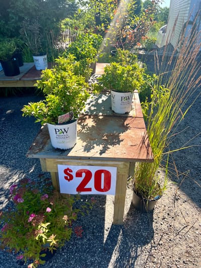 SALES image