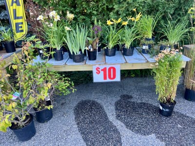 SALES image