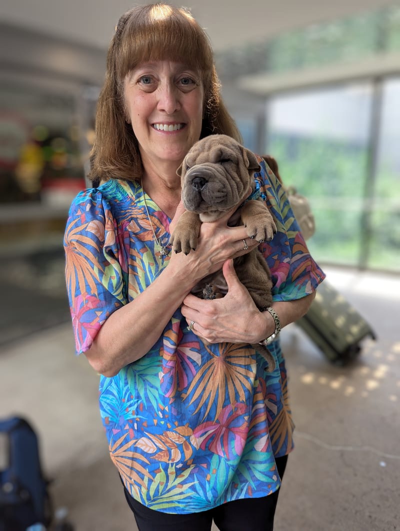 puppies from past litters