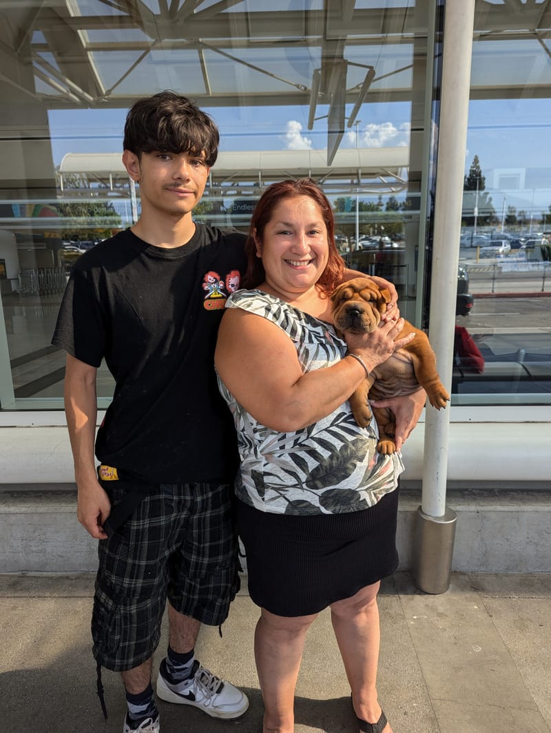 puppies from past litters