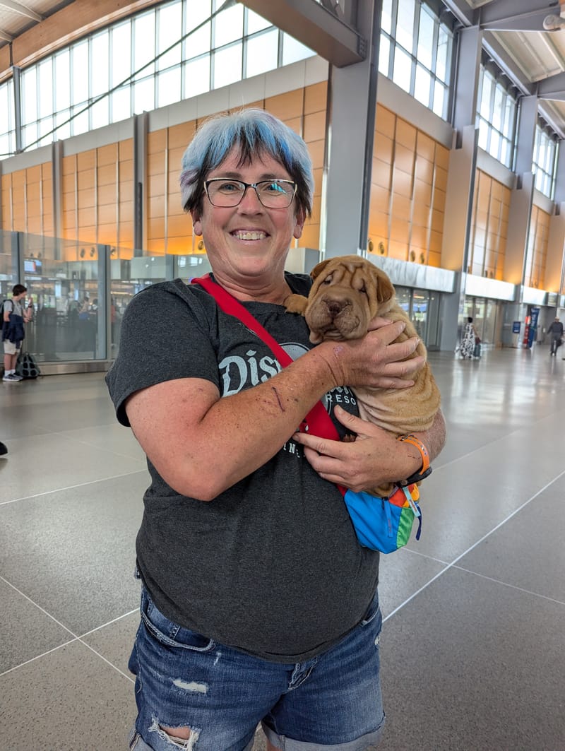 puppies from past litters