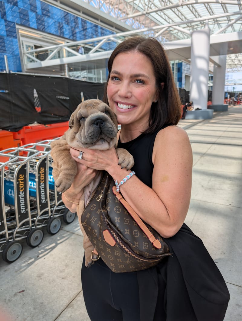 puppies from past litters