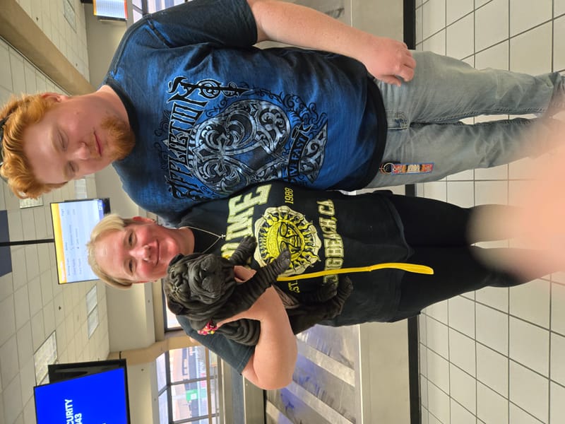 puppies from past litters