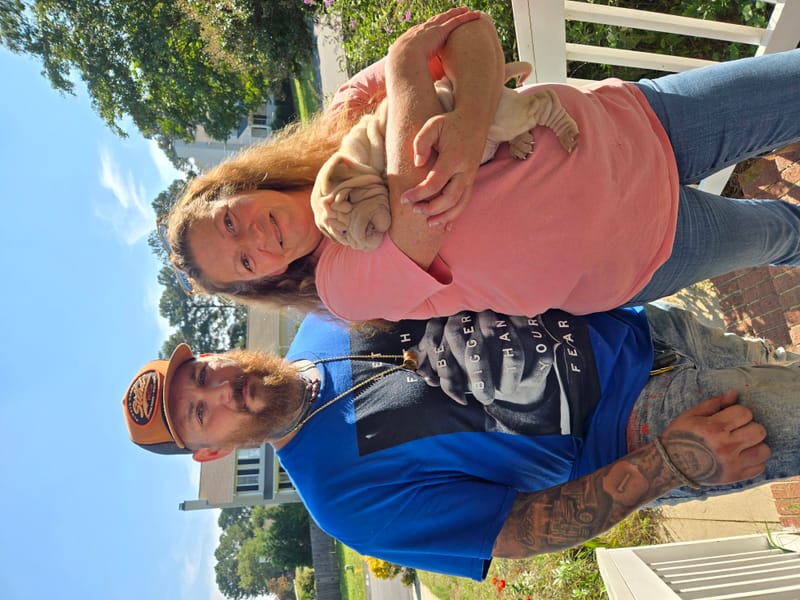 puppies from past litters