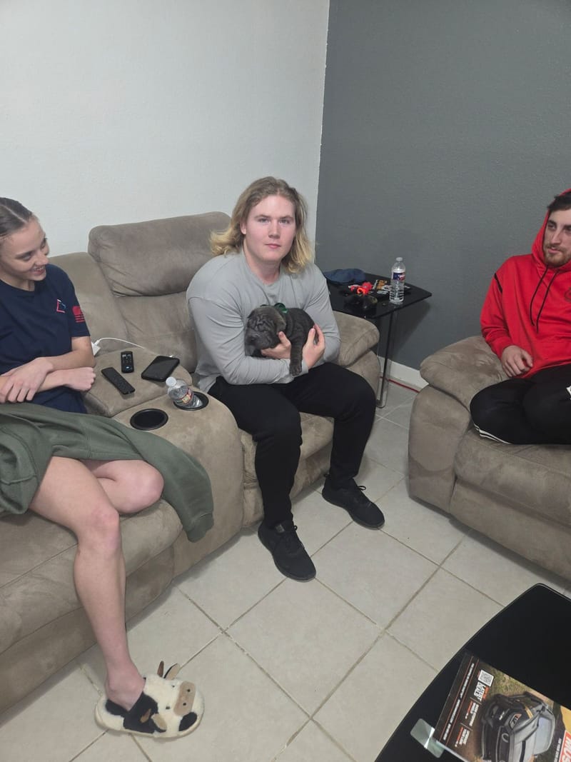 puppies from past litters