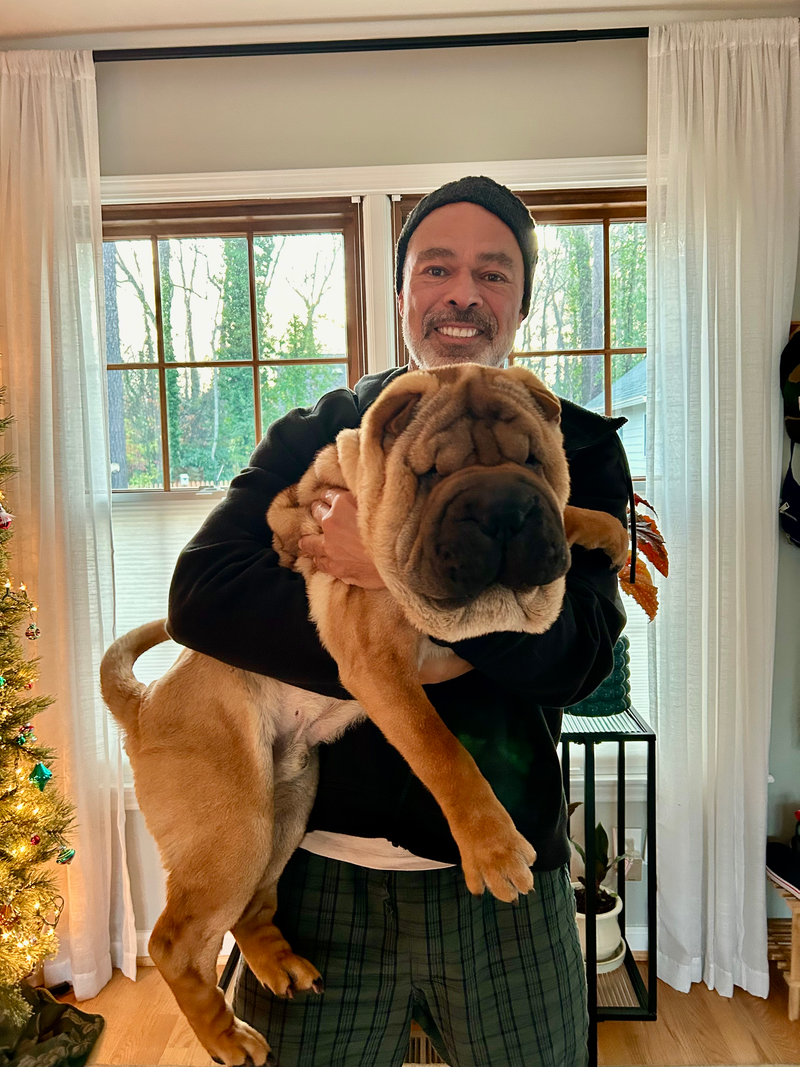 puppies from past litters