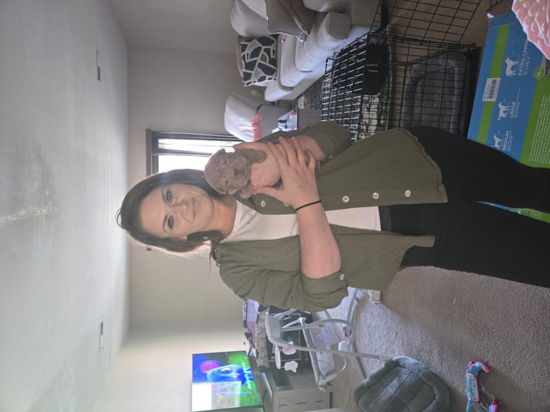 puppies from past litters