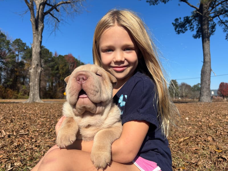 puppies from past litters