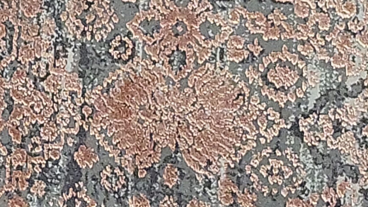 Code: 2347521  Size: 230 X 160 cm  Price Euro: 2875