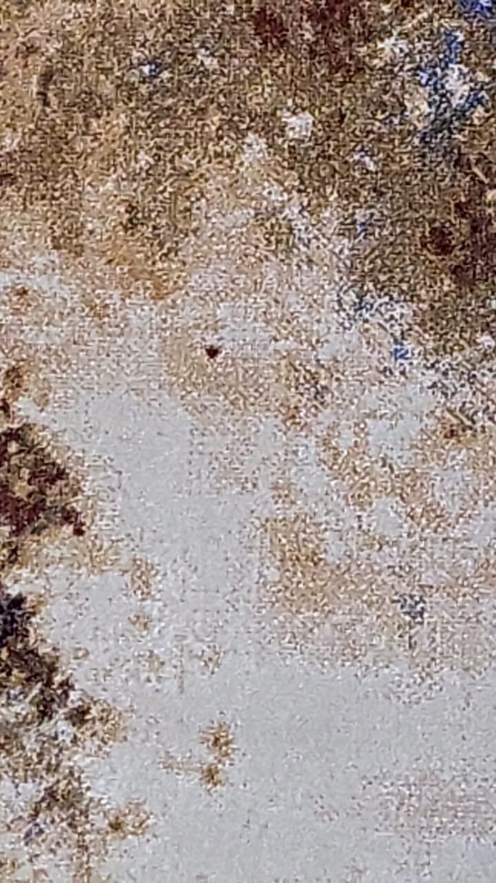 Code: 232953  Size: 190 x 130 cm  Price Euro: 1850