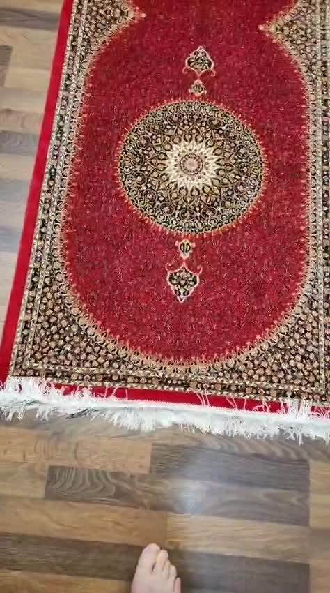 Oriental Silk Rug