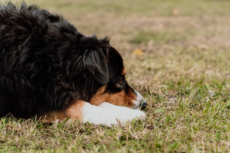 Nassereith - Freie Trauung