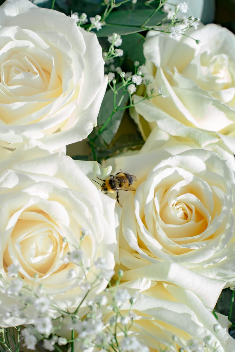 Erpfendorf - Standesamt und freie Trauung