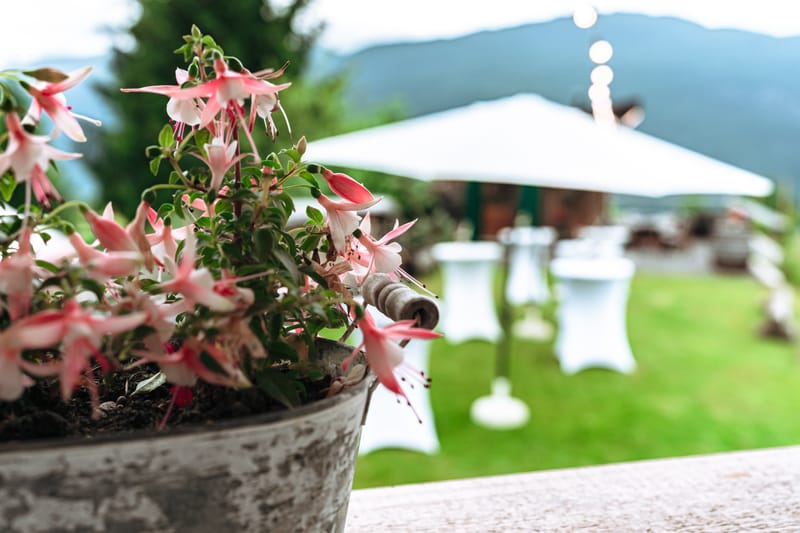 Hatting - Freie Trauung