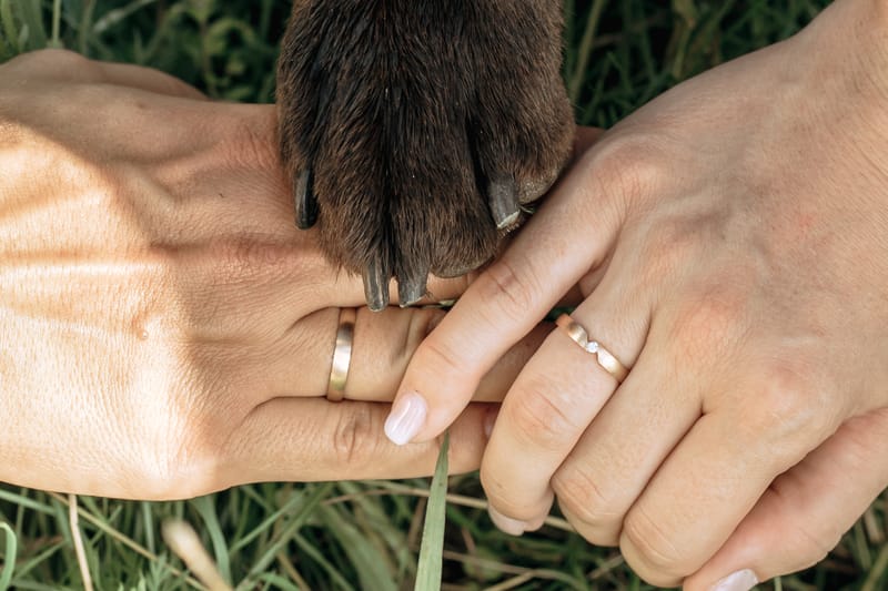 Mieming Stöttlalm - Freie Trauung