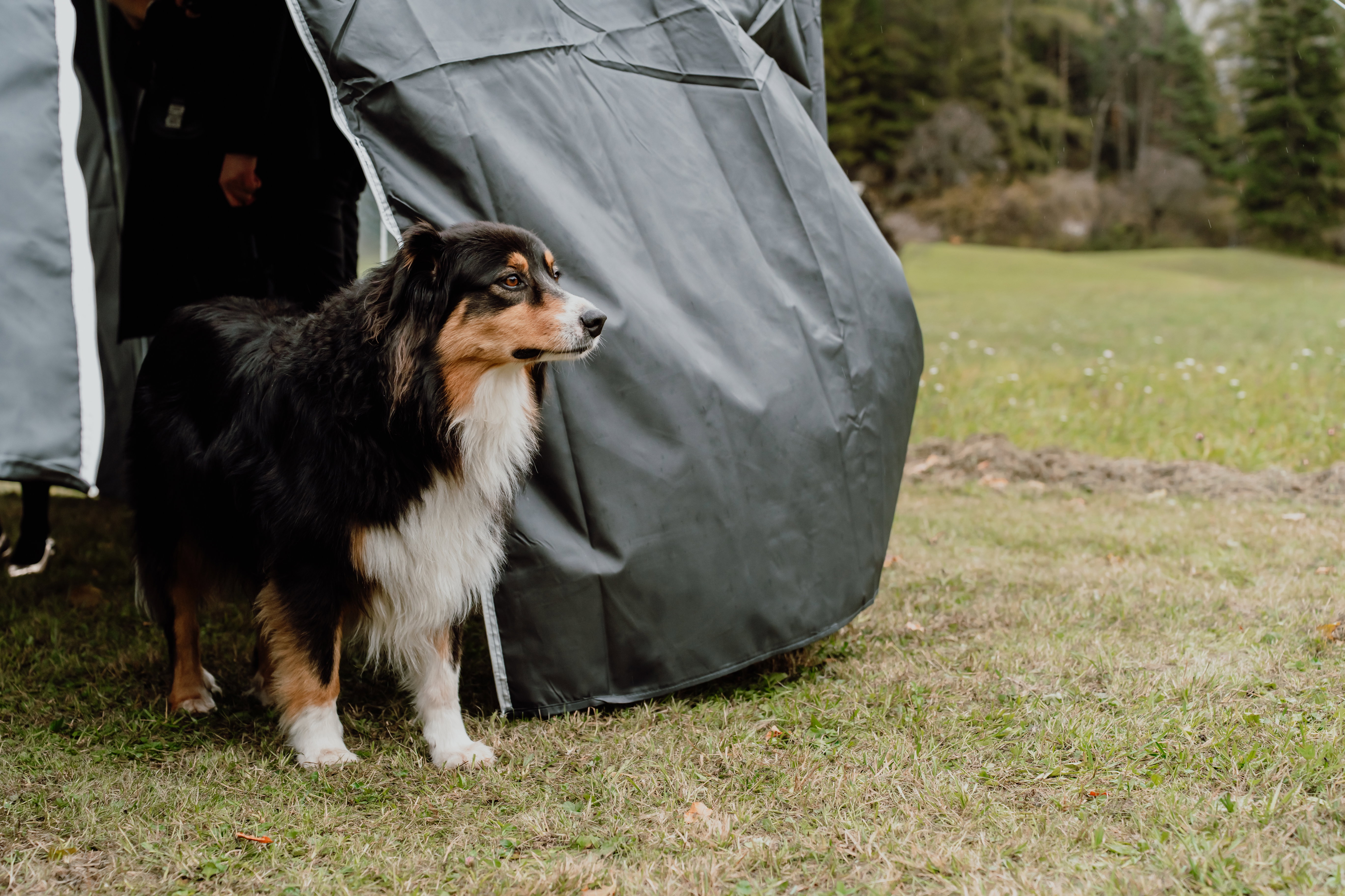 Nassereith - Free wedding ceremony
