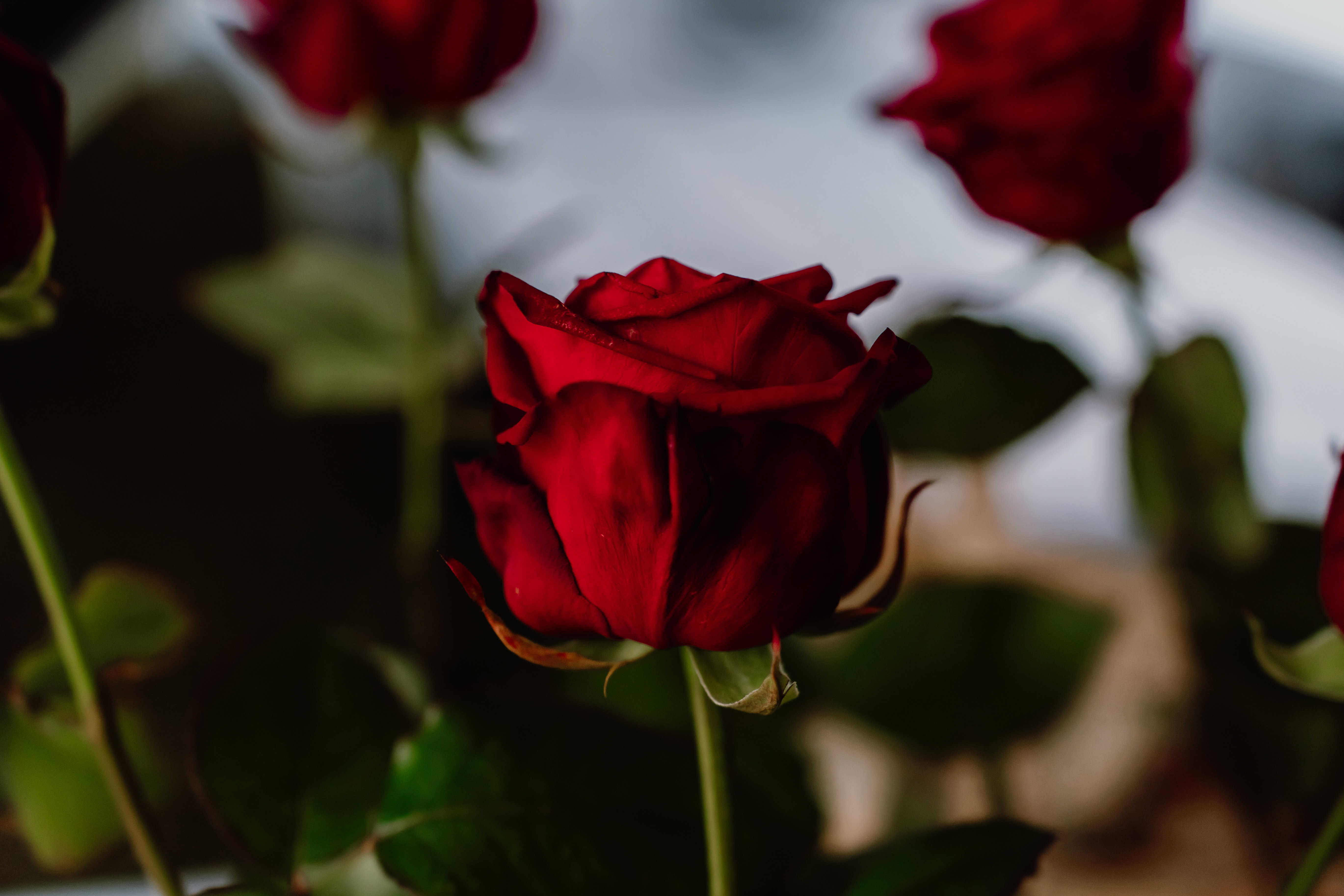 Nassereith - Free wedding ceremony