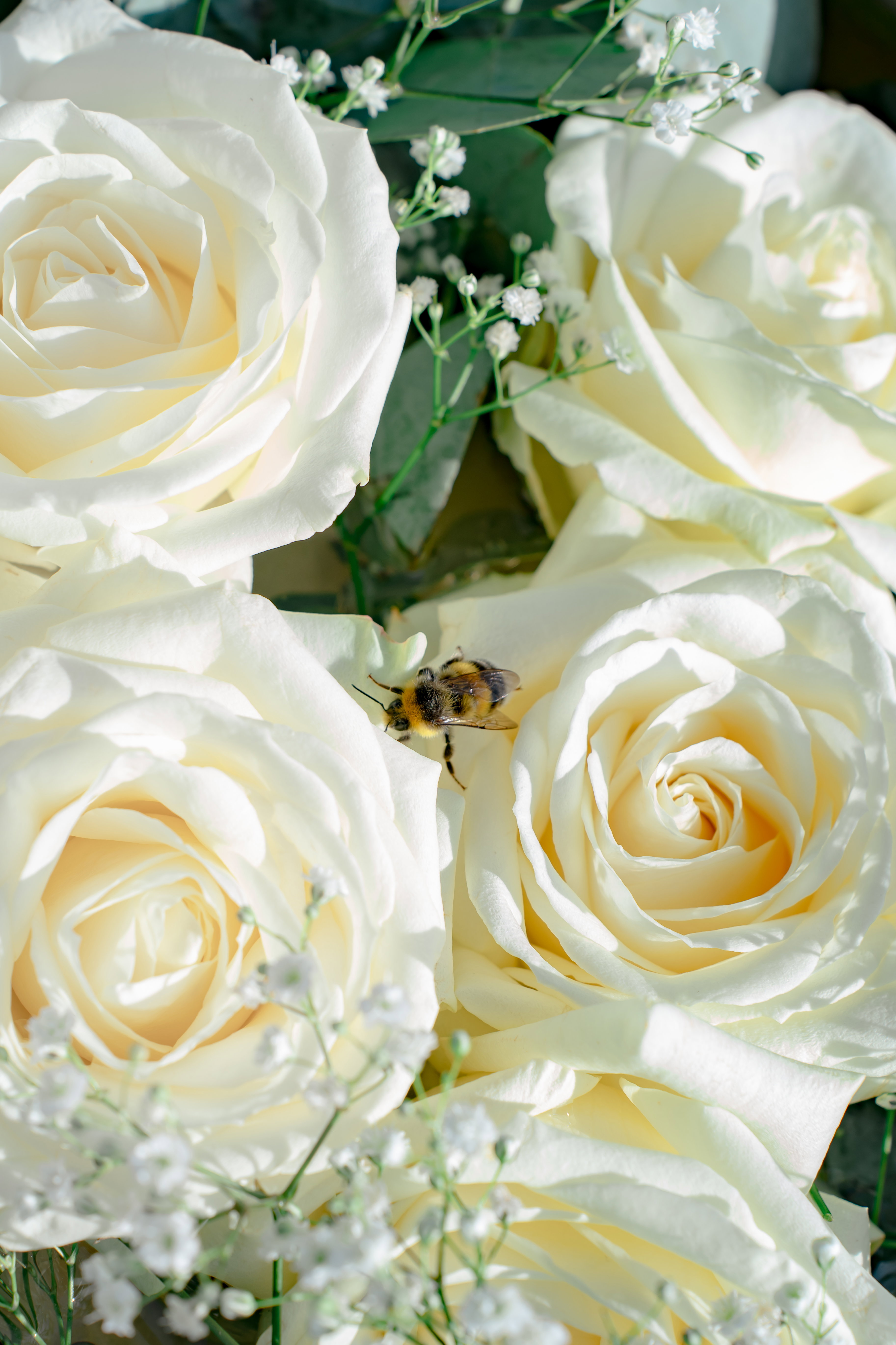 Erpfendorf - Standesamt und freie Trauung