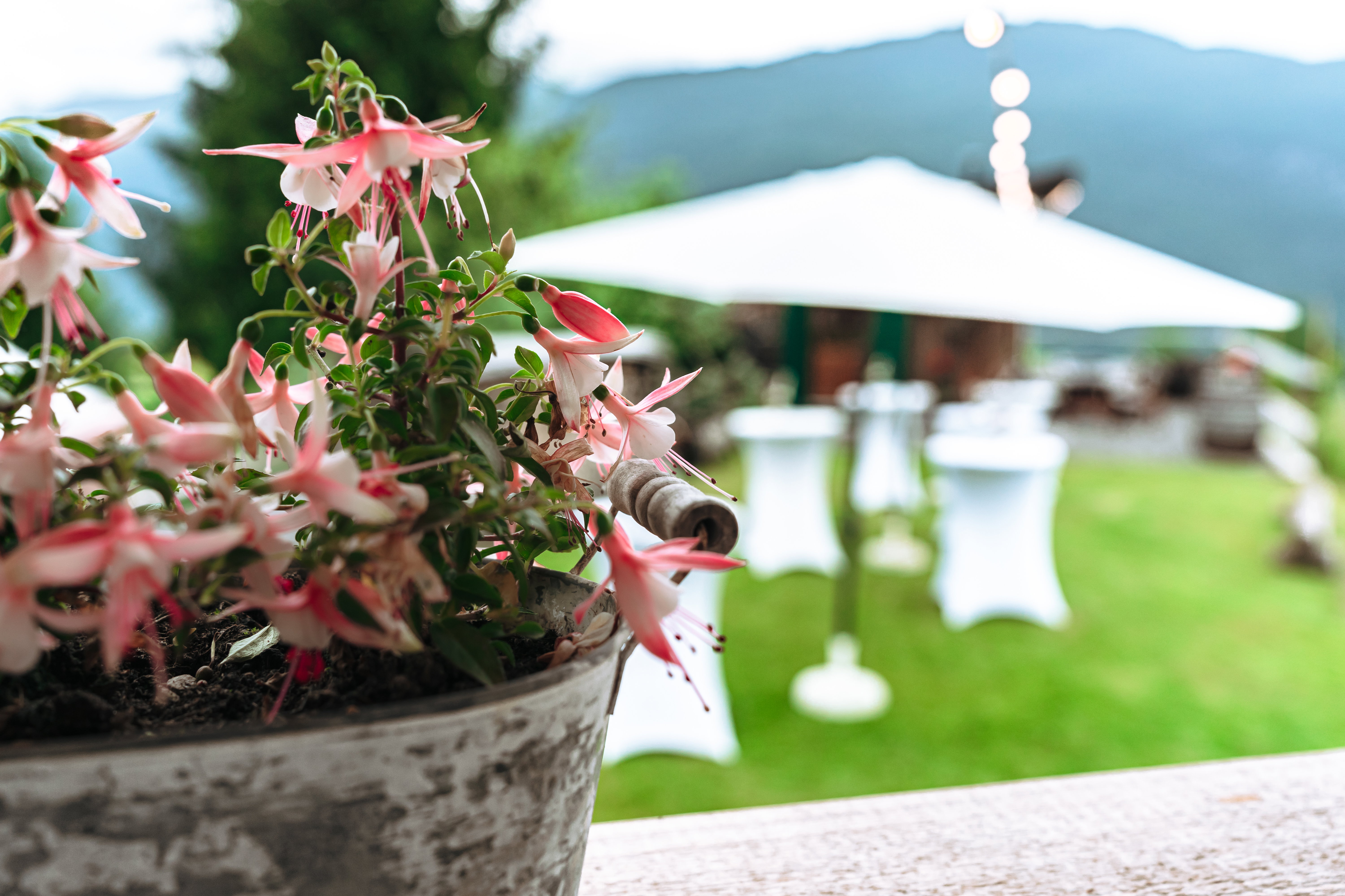 Hatting - Free wedding ceremony