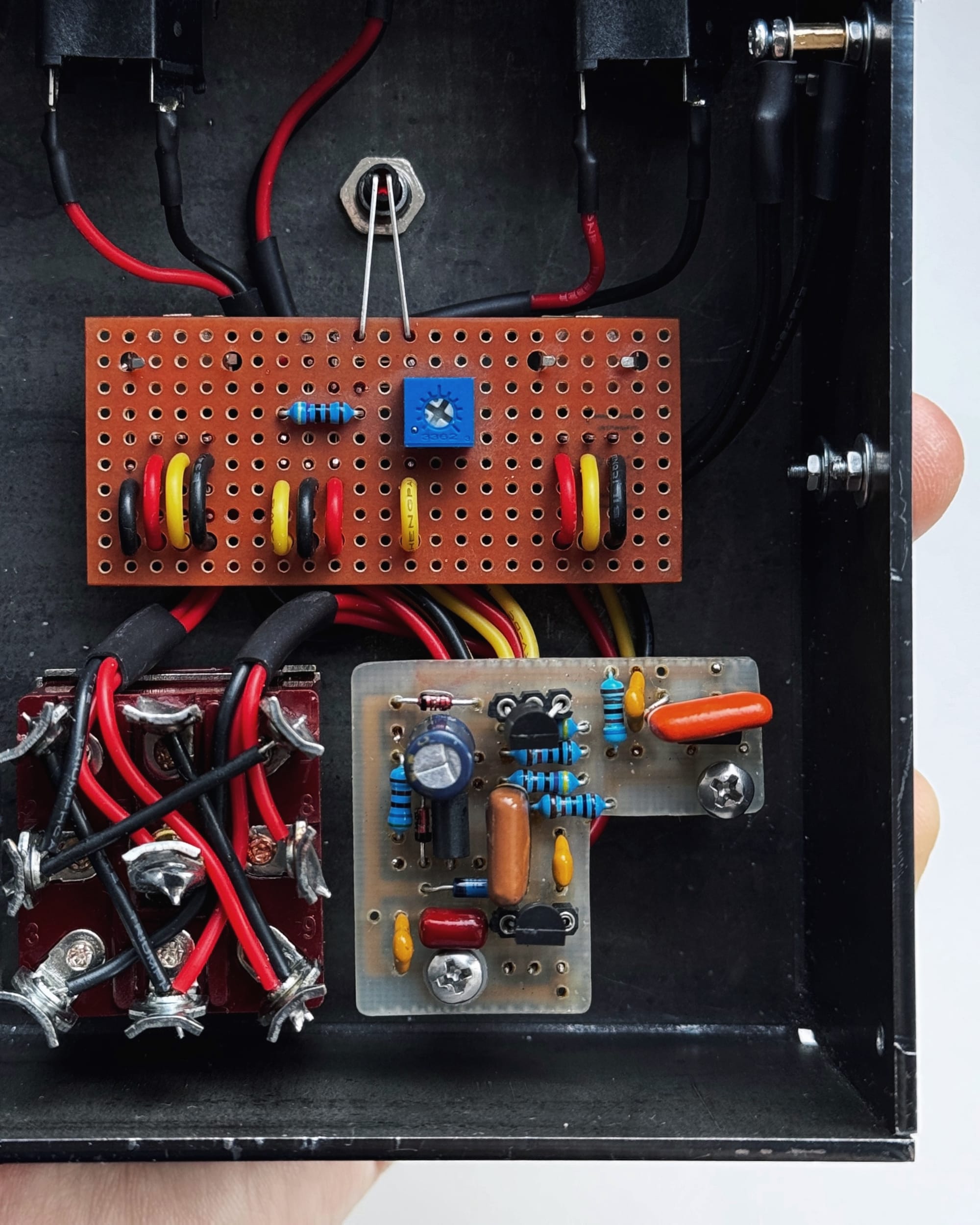 Pirate Fuzz Syndicate 🏴‍☠️