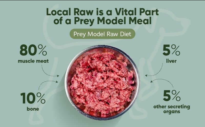 Natural Rearing Health and Raw Feeding Education