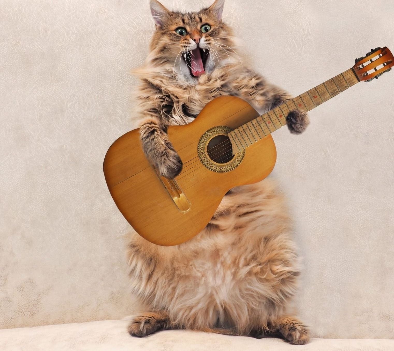 A QUOI NOUS SERT DE CHANTER ?