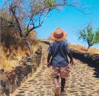 Publication d'un nouveau roman "LES PAVES DU CHEMIN"