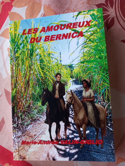 LE ROMAN QUI NOUS PARLE