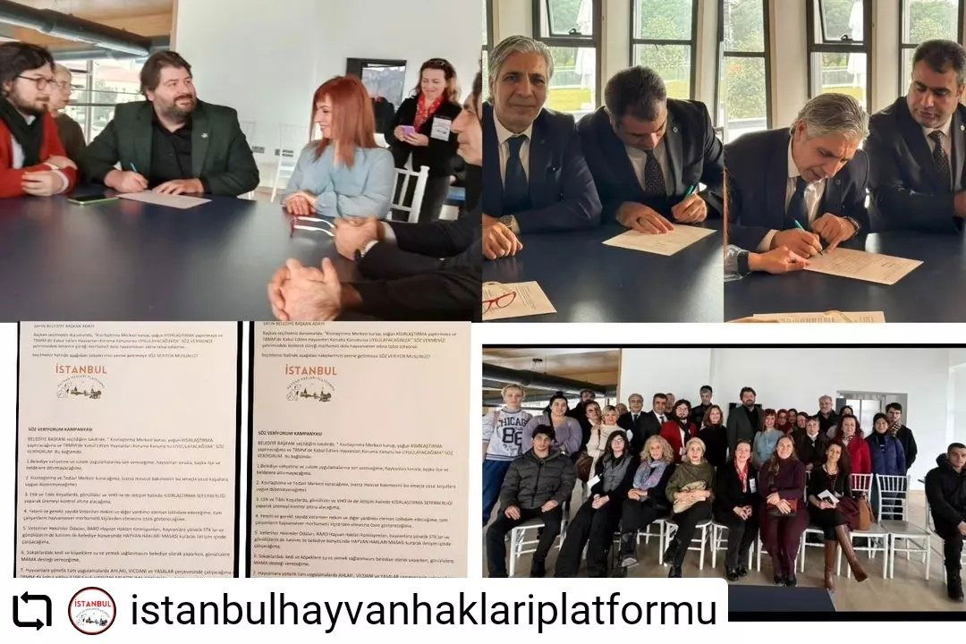 OYLARIMIZ HAYVANLAR İÇİN: SÖZ VER kampanyası kapsamında Bakırköy Belediyesi Gelecek Parti Başkan Adayı Sn. CÜNEYT Çeliksoy , Meclis Üyesi Adayları Sn. Yusuf M. Suayi,Murat Kara, Murat Kutluğtekin HayFed ve İstanbul Hayvan Hakları Platformu'nun kendisine sunduğu SÖZ VERİYORUM taahhütnamesini imzaladı.