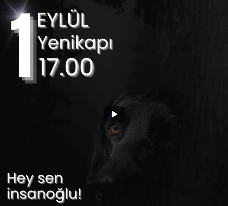 Türkiye de hayvanlara KATLİAMLAR getiren KANLI YASA ile insan olmaktan UTANDIYSAN!!🕔1 Eylül- Saat 17.00 Yenikapı Mitingine Gel!