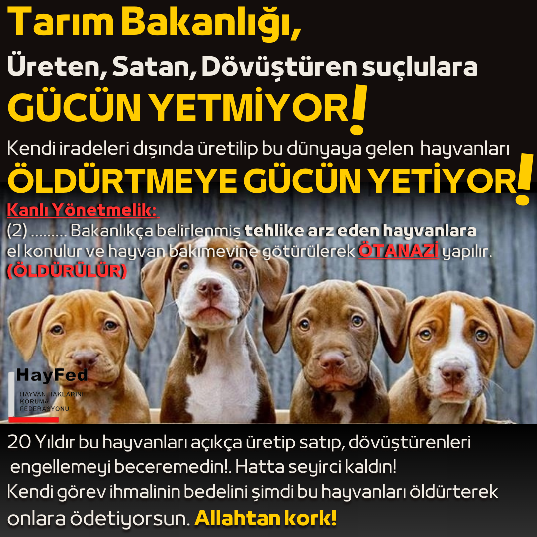 20 yıldır Üreten, Satan, Dövüştüren suçluları engellemeye GÜCÜ YETMEYEN TARIM BAKANLIĞI'NIN GÜCÜ kendi iradeleri dışında üretilip bu dünyaya gelen masum hayvanlara yetiyor!