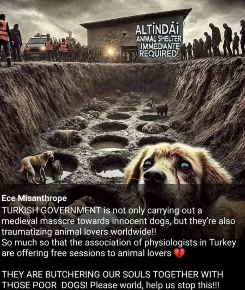 Kanlı yasa yapan ve buna EVET diyen Ak Parti ve Mhp MİLLETVEKİLLERİ!!.. .Dünya sizi, ''ortaçağ kitlesel eylemi gerçekleştirmekle kalmayan aynı zamanda hayvanlarla birlikte tüm dünyadaki hayvanseverlerin ruhlarını katleden kişiler'' olarak TARİHE YAZIYOR... UTANMALISINIZ.