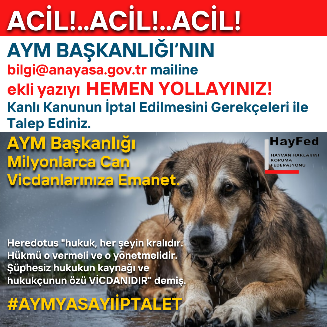 ÖNEMLİ!.. ACİL!..ACİL!..ACİL! AYM BAŞKANLIĞI’NIN bilgi@anayasa.gov.tr mailine ekli yazıyı HEMEN YOLLAYINIZ! Kanlı Kanunun İptal Edilmesini Gerekçeleri ileTalep Ediniz.