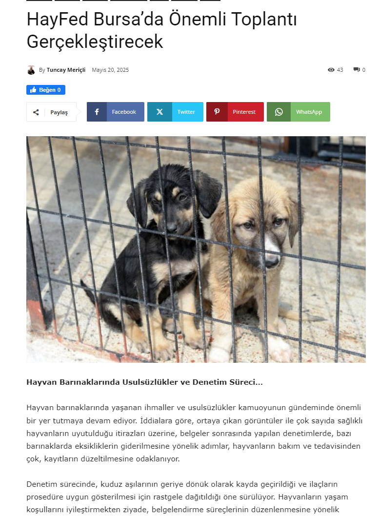 21 Mayıs Çarşamba .. Osmangazi Belediye barınağında kalplerine sokulan iğnelerin acısıyla feryat eden hayvanlara yapılan vahşet için belediye başkan Erkan Aydın ile görüşmek üzere Osmangazi de olacağız..HayFed