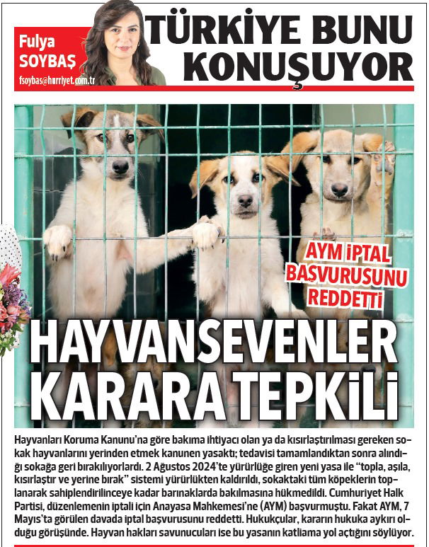 BU YASA SOKAK HAYVANI SAYISINI DAHA DA ARTIRACAK!