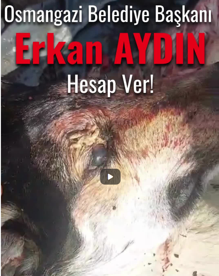 Osmangazi Belediye Başkanı Erkan Aydın Hesap Ver!